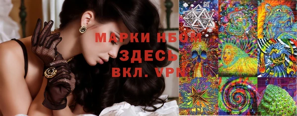 индика Алзамай