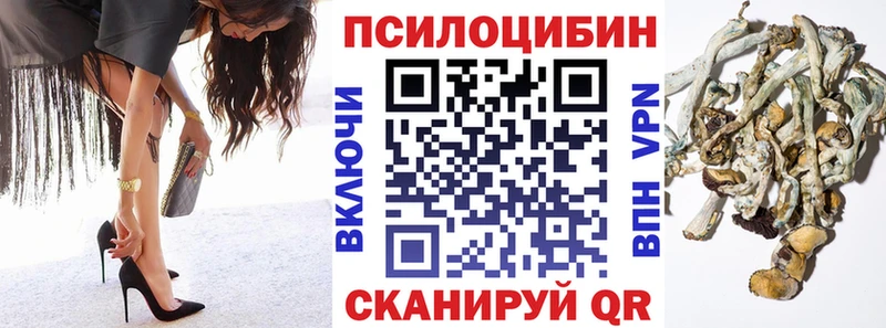 сколько стоит  Березники  Псилоцибиновые грибы Cubensis 