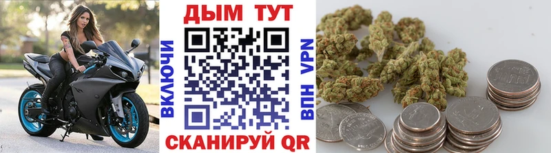 Бошки Шишки OG Kush Березники